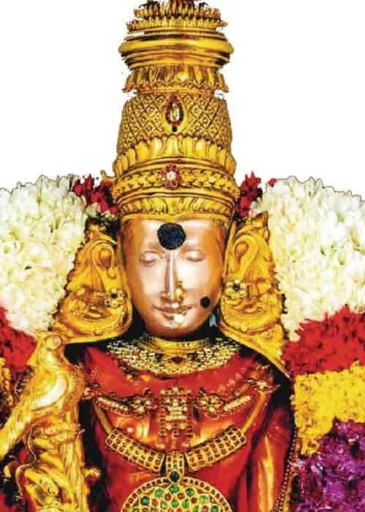  நகையும் தொலையவில்லை! தணிக்கையிலும் குறையில்லை!